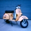 grasshopper-scooter2